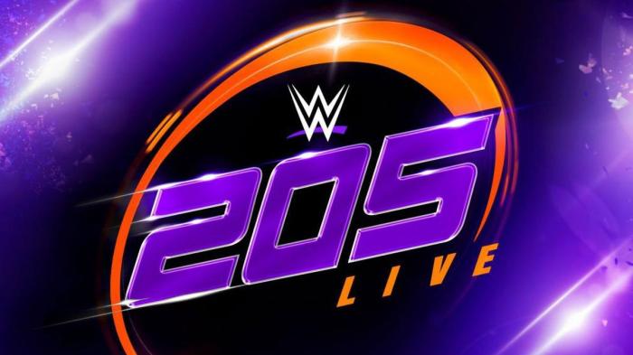 WWE 205 Live