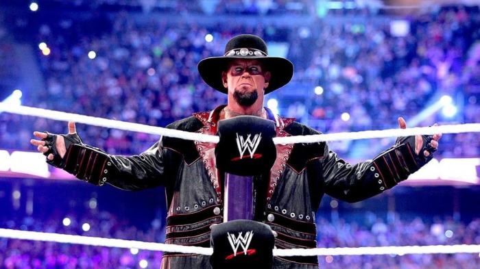 the undertaker