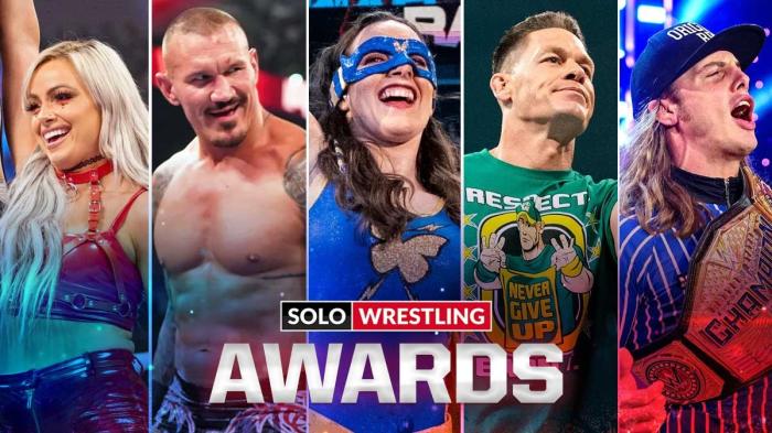 Solowrestling Awards WWE