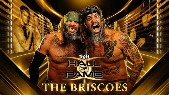 The Briscoes