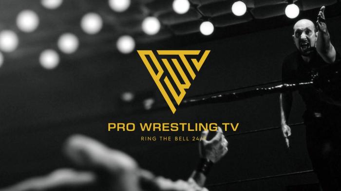 Pro Wrestling TV