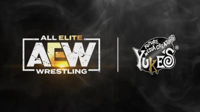 All Elite Wrestling: The Videogame