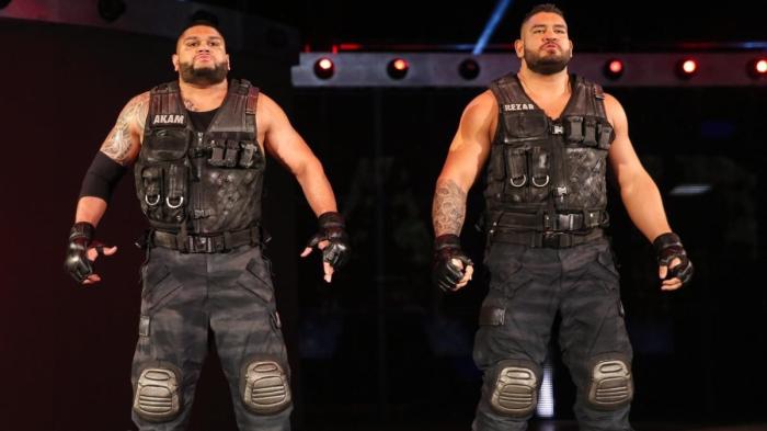 Authors of pain