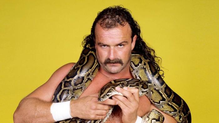 Jake Roberts