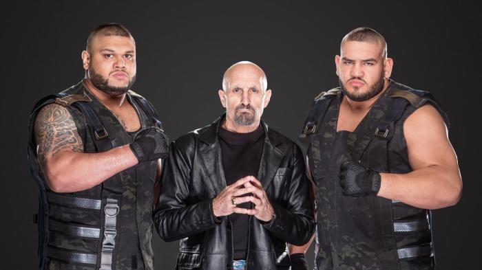 Authors of Pain