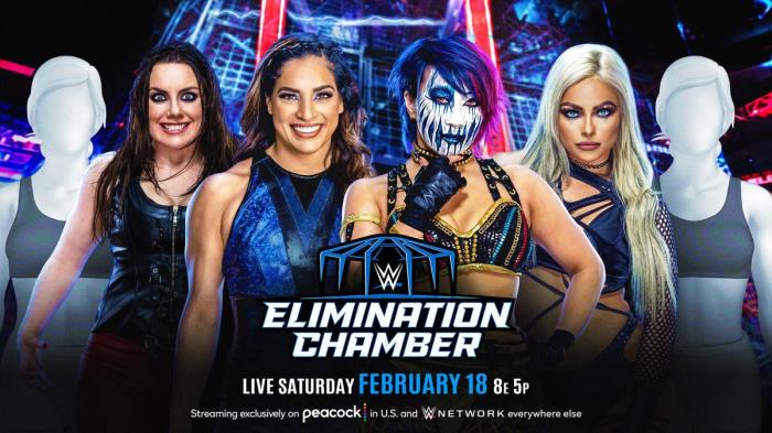 WWE Elimination Chamber 2023