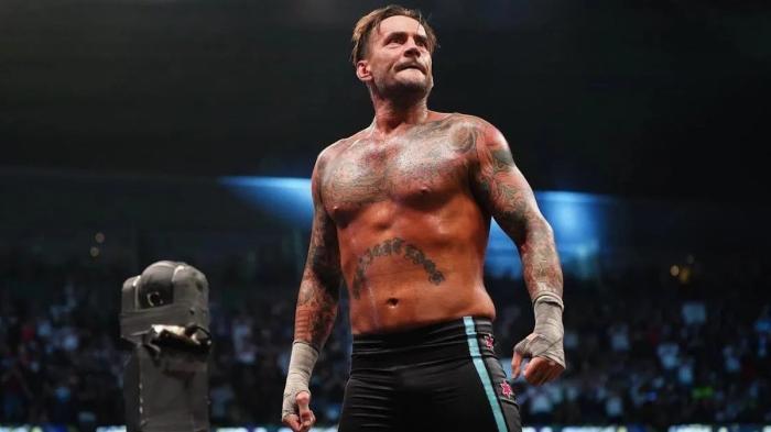 CM Punk