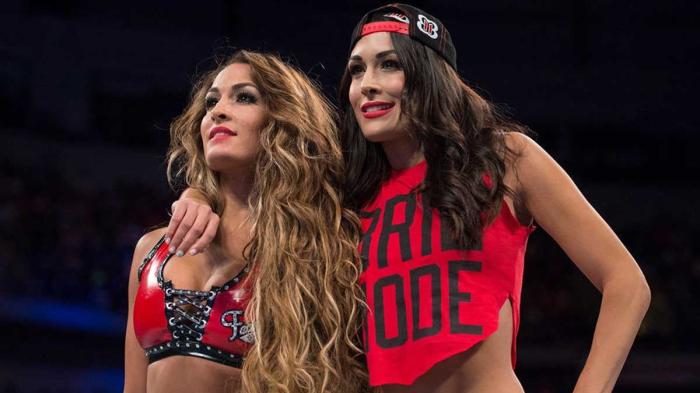 The Bella Twins