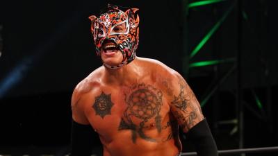 Rey Fenix