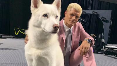 Pharaoh y Cody Rhodes