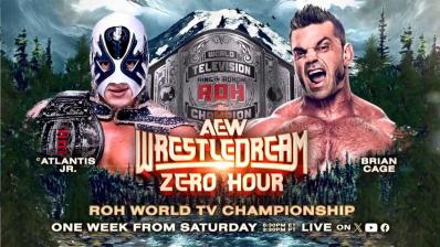 AEW WrestleDream