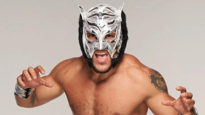 Lince Dorado 