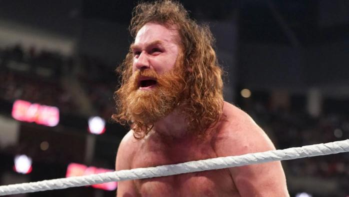 Sami Zayn