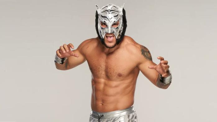 Lince Dorado