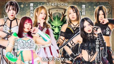 STARDOM