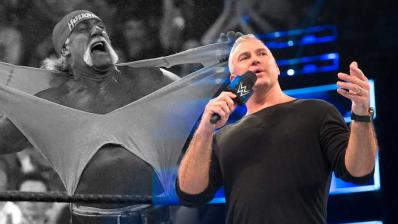 Hulk Hogan Shane McMahon