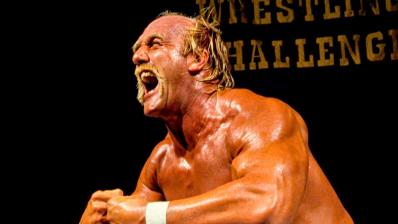 Hulk Hogan Hulk Hogan
