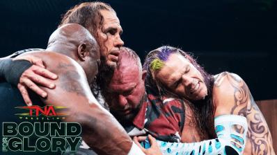 Team 3D vs. The Hardys
