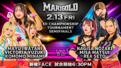 Marigold NEW YEAR GOLDEN GARDEN