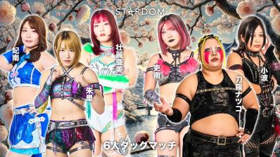 STARDOM IN OKAYAMA