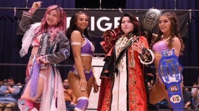 Marigold SPRING VICTORY SERIES