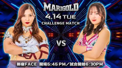 Marigold SPRING VICTORY SERIES