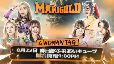 MARIGOLD