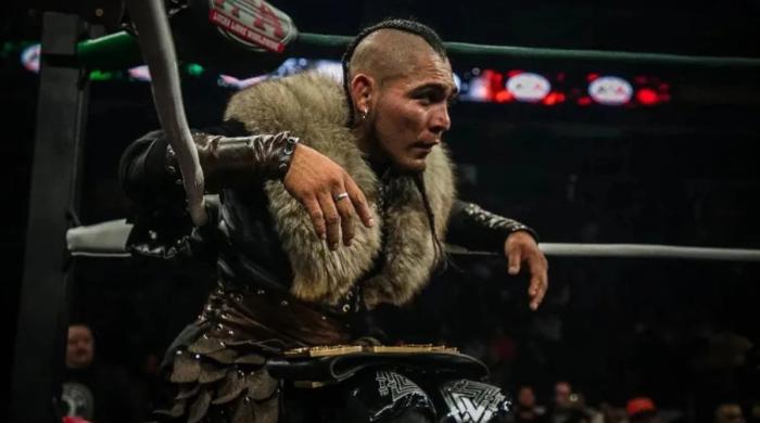 El Hijo del Vikingo
