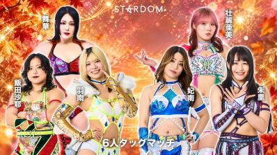 STARDOM