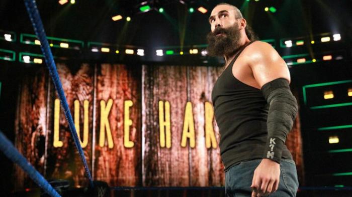 Luke Harper, año seis