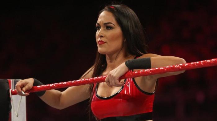 Brie Bella, sobre su Suicide Dive en Raw: 'Olvidé que mi cuerpo ha cambiado por el embarazo'