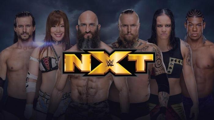 Spoilers de WWE NXT para febrero de 2019