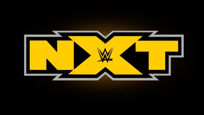 Dos luchadoras de NXT se lesionan este fin de semana 