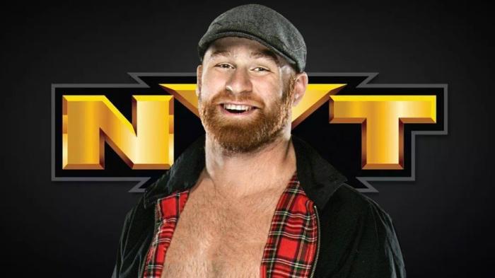 5 superestrellas de WWE que deberían recalar en las filas de NXT en USA Network