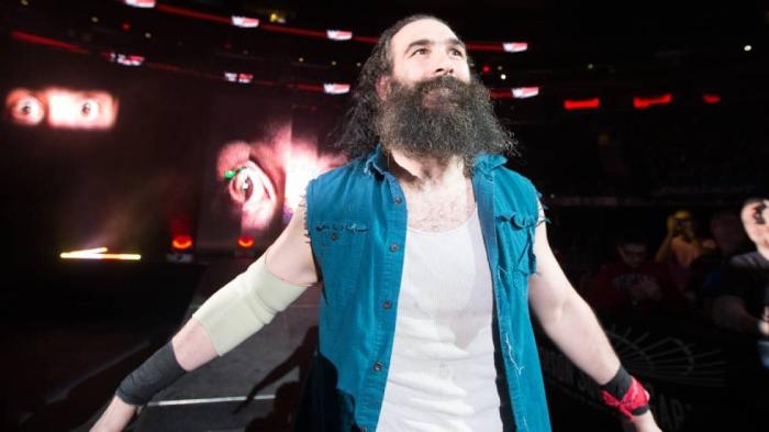 Vince McMahon cree que Luke Harper ya no tiene nada que ofrecer en WWE