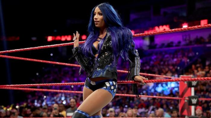 Sasha Banks habría sufrido una lesión de coxis en Hell In A Cell