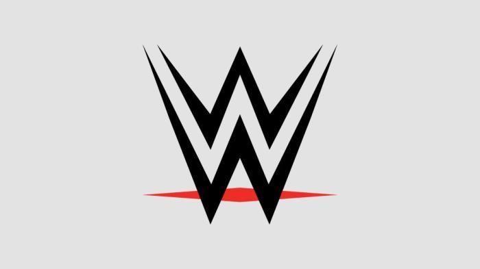 WWE iniciará su proyecto en Japón en los próximos meses