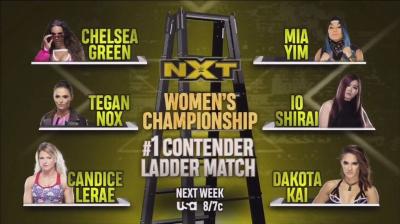 Dakota Kai es la última clasificada a la Ladder Match femenina de NXT