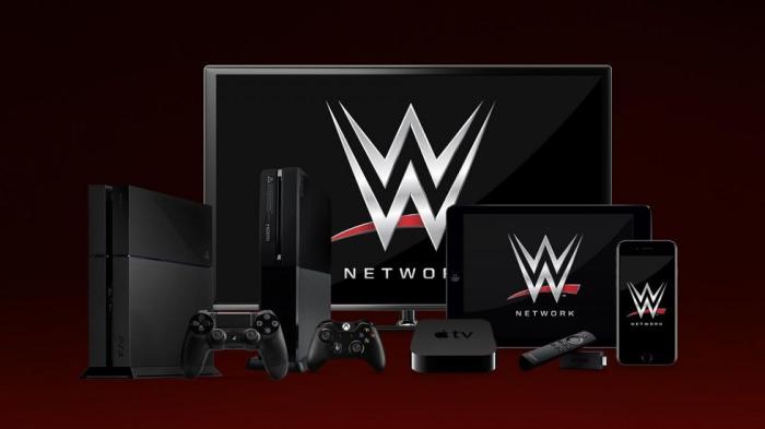 WWE es demandada por la tecnología empleada en WWE Network