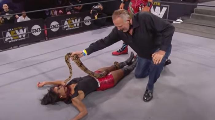 AEW Dynamite: Jake Roberts vuelve a recurrir a las serpientes - Combates y segmentos anunciados