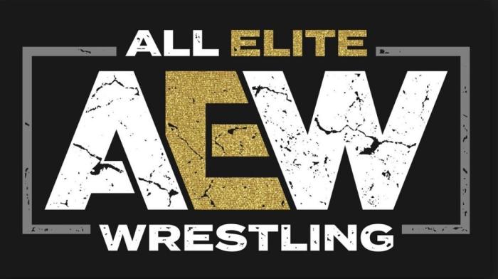 All Elite Wrestling podría estar preparándose para presentar un campeonato de tríos