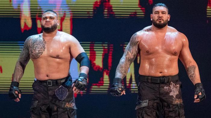 WWE anuncia el despido de AoP