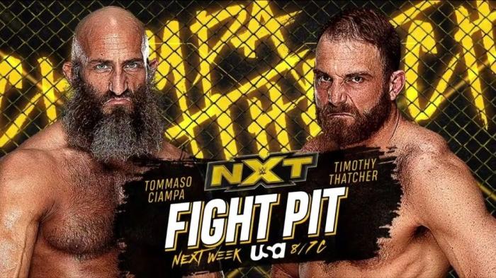 Timothy Thatcher y Tommaso Ciampa