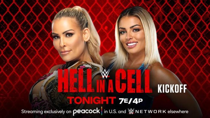 WWE Hell in a Cell